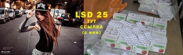 твердый Пересвет