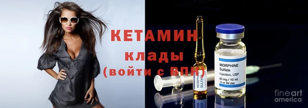 твердый Пересвет