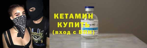 твердый Пересвет