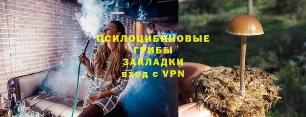 apvp Пестово