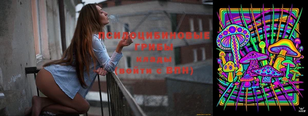 МДПВ Переславль-Залесский