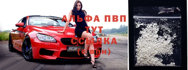твердый Пересвет